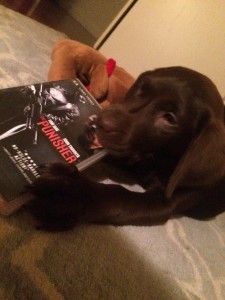 Mahattan Puppies and Kittens Chocolate Lab Reading